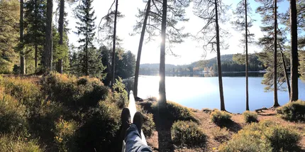 nature