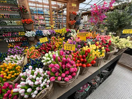 bloemen
