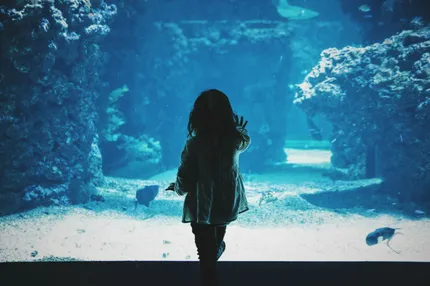 ocean
