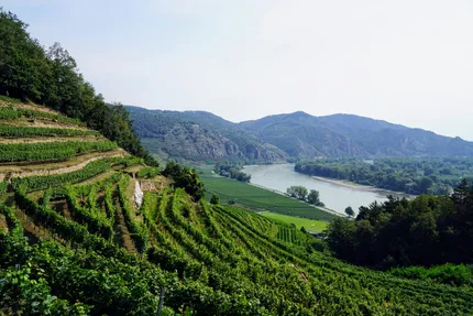Wachau Valley (Melk Abbey and Dürnstein)