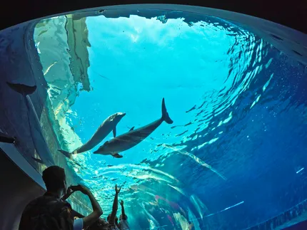 aquarium
