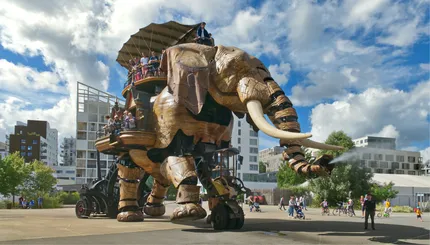 elephant