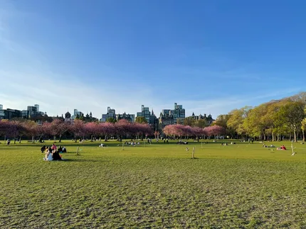Southside & The Meadows