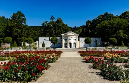 Baden bei Wien and the Vienna Woods (Heuriger and Spa Town)