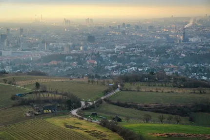 kahlenberg