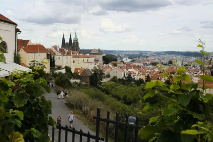Vinohrady