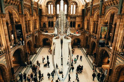 natural history museum