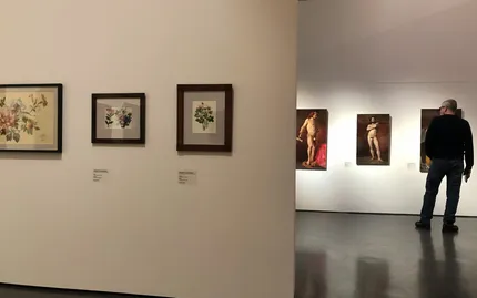 kumu museum