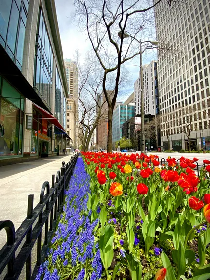 magnificent mile