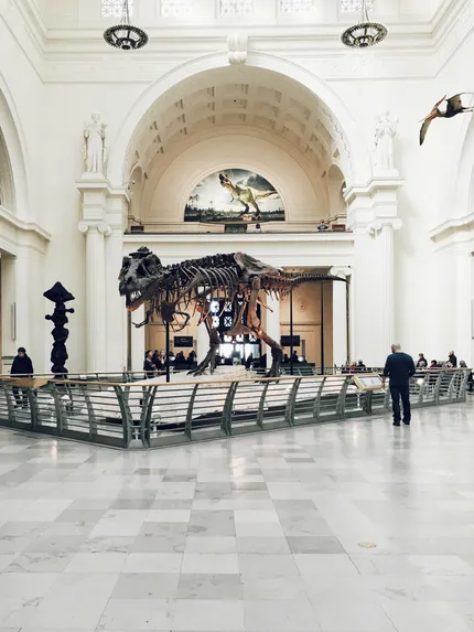 field museum