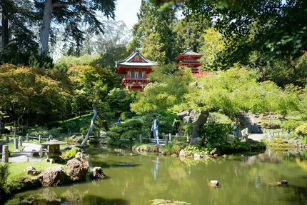 japan tea garden