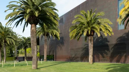 de young