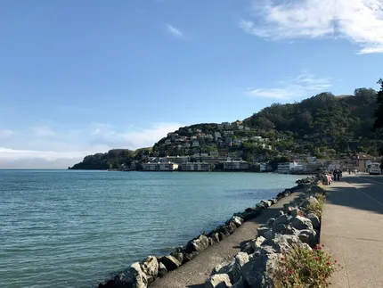 Muir Woods & Sausalito