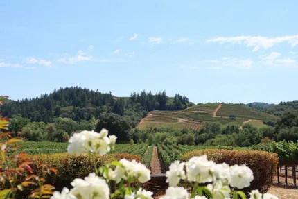 Napa Valley Wine Country (Napa & Yountville)