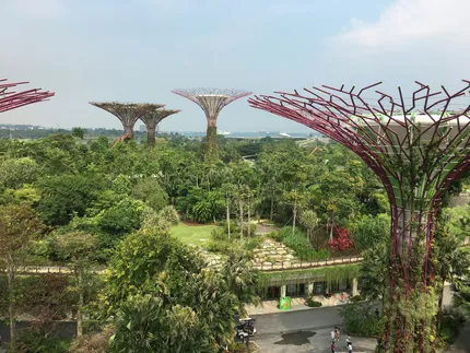 Gardens by the Bay