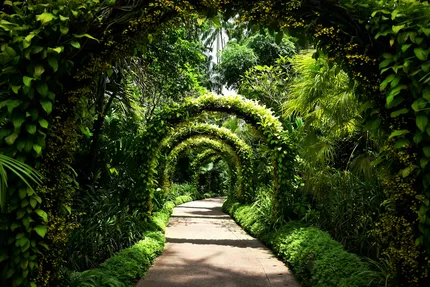 botanic gardens
