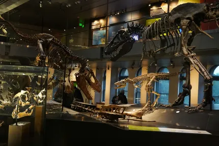 natural history museum