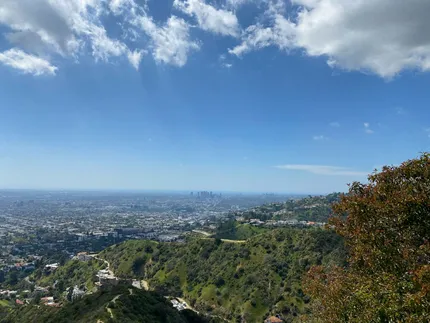 runyon