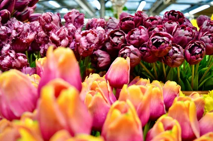 bloemenmarkt