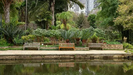 botanic garden