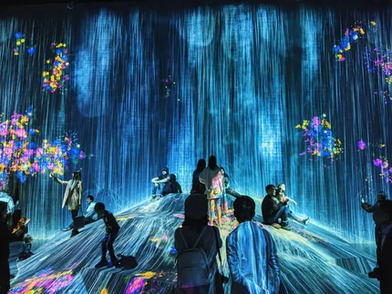 teamlab borderless