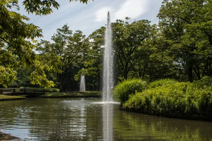 yoyogi
