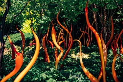 chihuyl garden