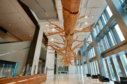 seattle art museum