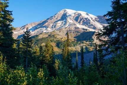 Mount Rainier National Park
