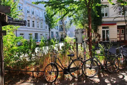 Altona & Ottensen