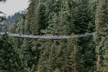 capilano