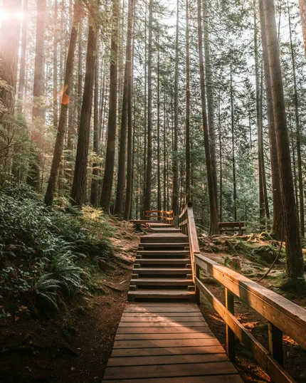 lynn canyon