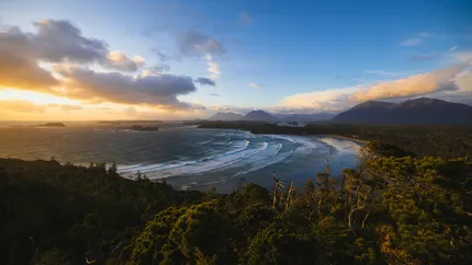 Tofino