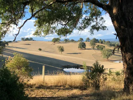 yarray valley