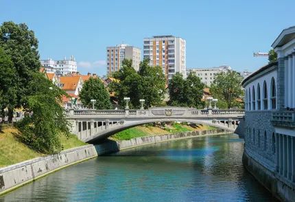 dragonbridge2