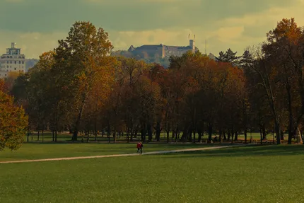 Tivoli Park