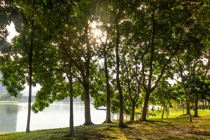 klcc park