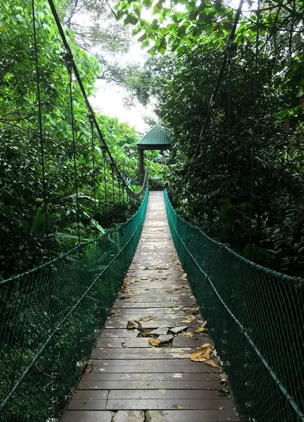 forest eco park