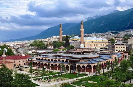 Bursa