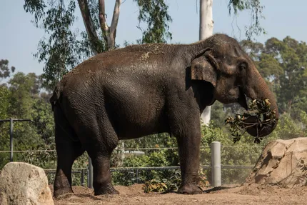 zoo