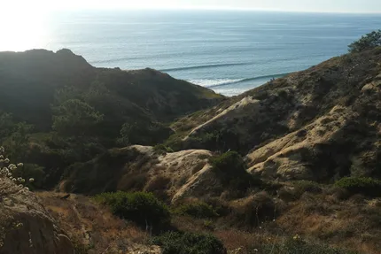 torrey pines
