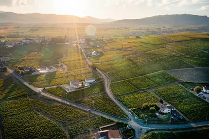 Beaujolais Wine Region