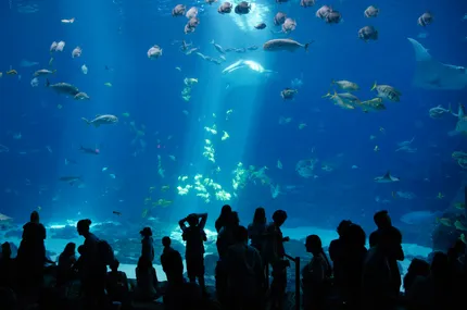 aquarium
