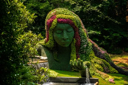botanical garden