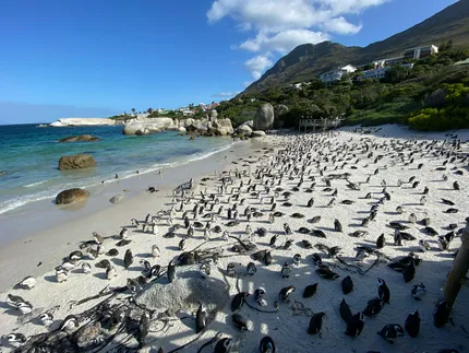 boulders beach