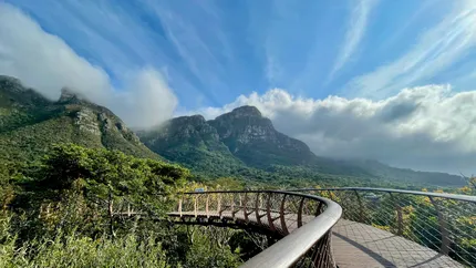 kirstenbosch