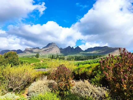 winelands