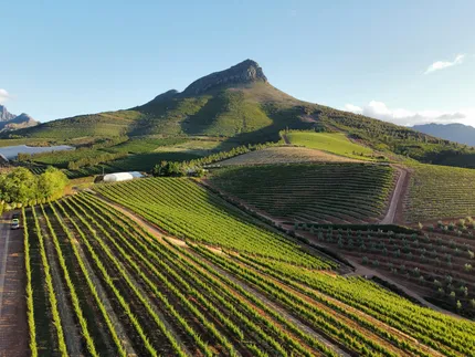 stellenbosch