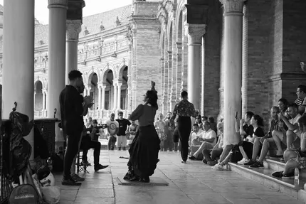 Flamenco Show
