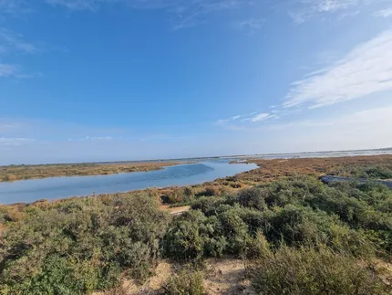 Doñana National Park